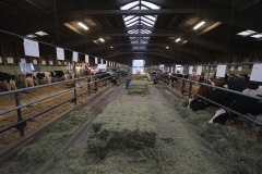 DSC07802