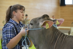 030DSC05893_Show