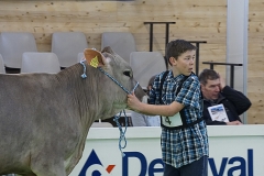 031_DSC4633_Show