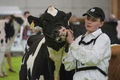 039DSC05923_Show