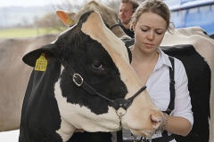 064DSC05976_Show