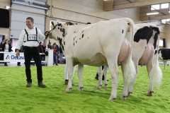 068_MG_4789_Show