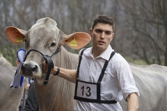 075DSC05994_Show