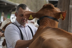 157DSC06223_Show