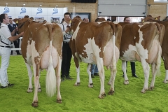 178DSC06316_Show