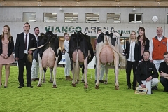 264DSC06540_Show
