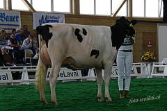 112_DSC0858