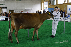 135_DSC0987
