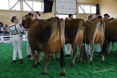 145_DSC1024