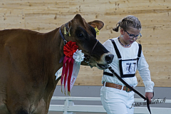 147_DSC1030