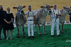 211_DSC1319