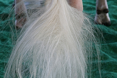 33A0593