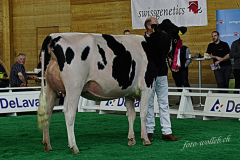 DSC2327