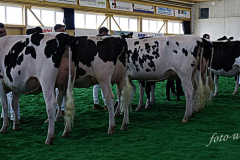 DSC2500