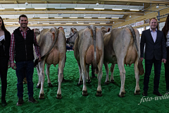 DSC2600