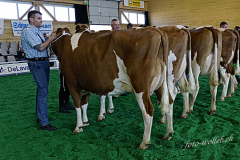 DSC2678