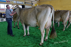 DSC2734