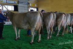 DSC2739