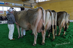 DSC2876