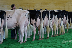 DSC2930
