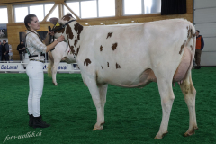 03_Vice-Champ-HO_RH-L1_DSC6958