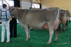 08_Champ-BV_DSC7181