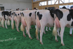 056_DSF0374