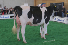 057_DSF0387
