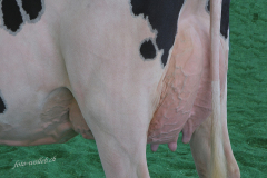 060_DSF0395