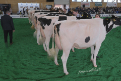 076_DSF0451