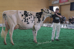 078_DSF0491