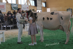 083_DSF0544