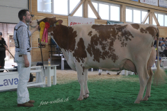 088_DSF0586
