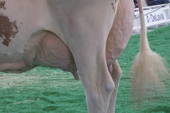 089_DSF0582