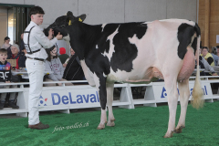 121_DSF0646