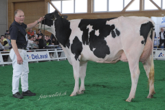 122_DSF0648