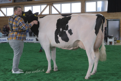 125_DSF0656