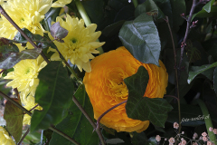 004_DSF4249