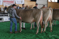 064_DSF4230