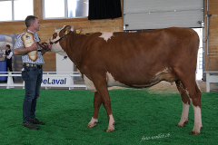 096_DSF4314