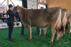 141_DSF4449