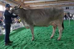 142_DSF4457