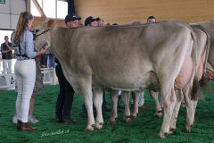 163_DSF4473