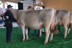 173_DSF4489