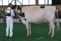 232_DSF4620