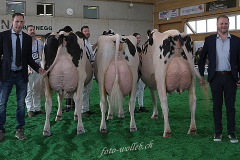 243_DSF4641