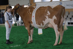 251_DSF4669