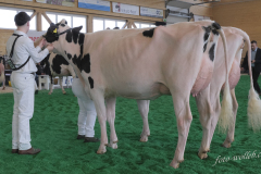 02_HO_Champ_L1_DSF0319