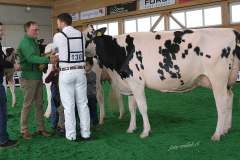 07_DSF4383