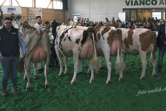 09_DSF4402